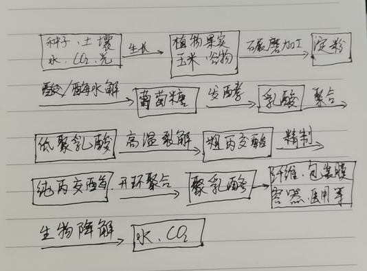 生物降解袋中的PLA是如何制得的？(圖1)