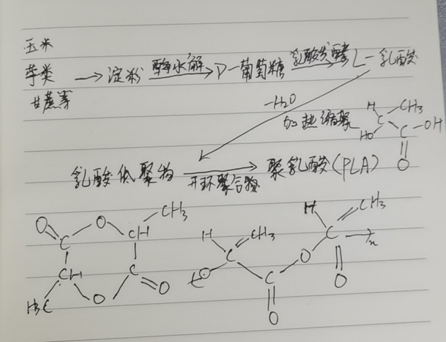 生物降解袋中的PLA是如何制得的？(圖2)